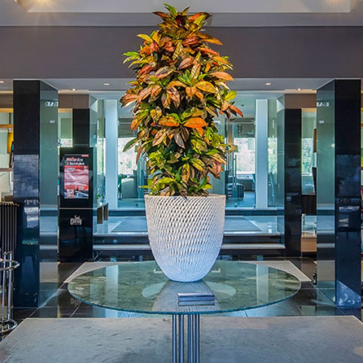 Cidnay Santo Tirso – Charming Hotel & Executive Center