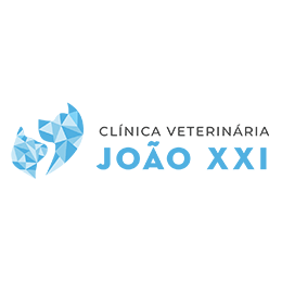 Clínica Veterinária João XXI