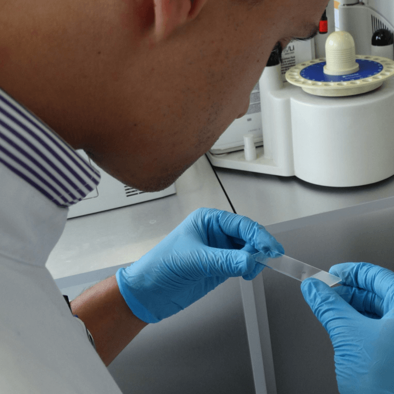 Luísa Frazão Laboratório de Análises Clínicas