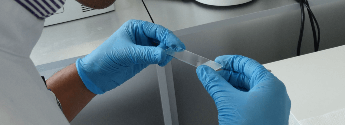 Luísa Frazão Laboratório de Análises Clínicas