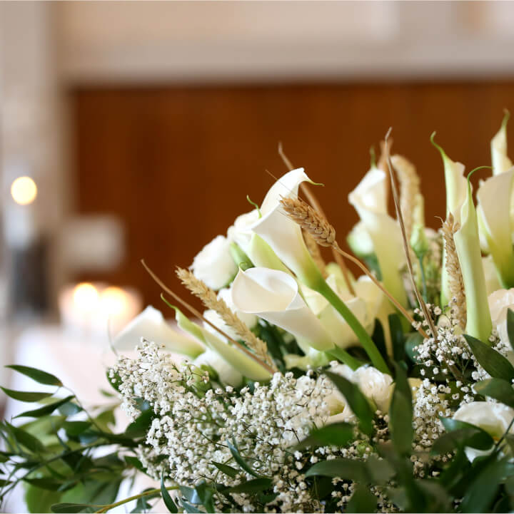 Ass Soc Mutuos São Francisco Assis Anta