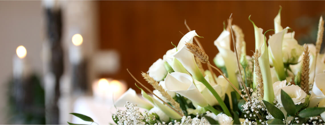 Ass Soc Mutuos São Francisco Assis Anta