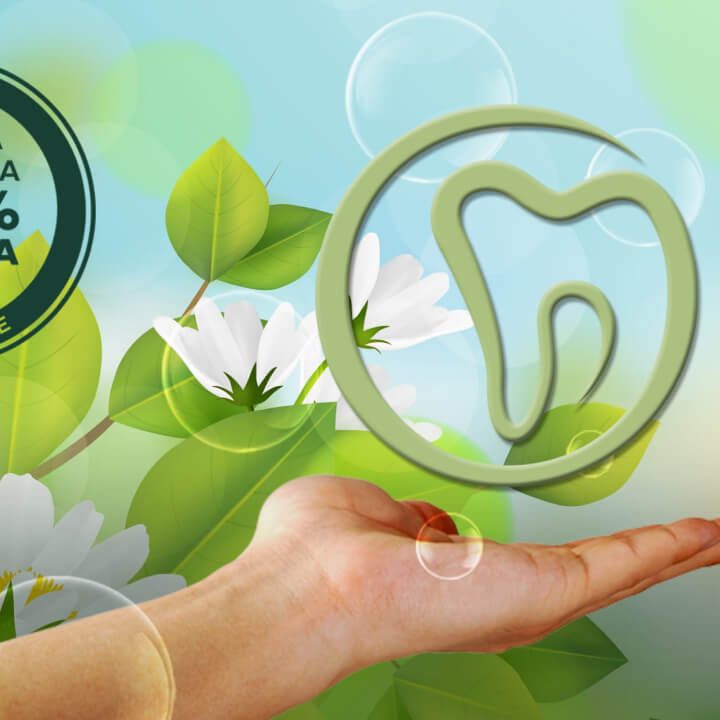 Instituto Médico Dentário Vasco Da Gama