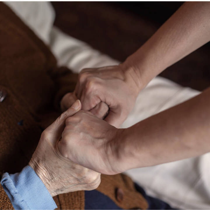 Serviços Sociais Câmara Municipal Lisboa