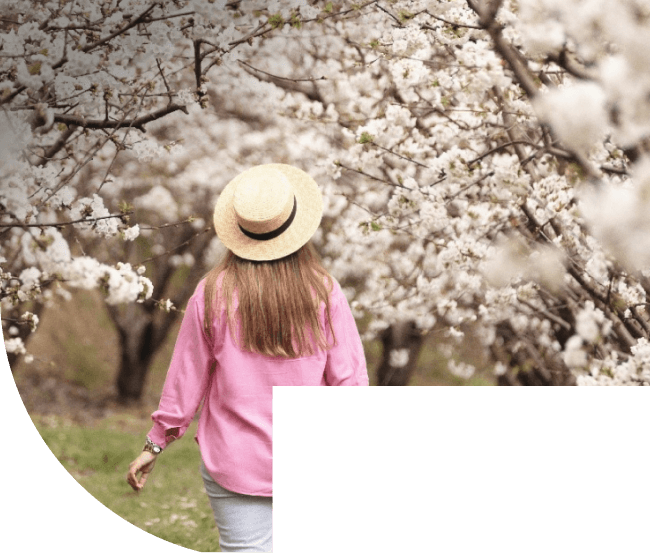 Gardunha: Cerejeiras em flor e Tesouros da Região