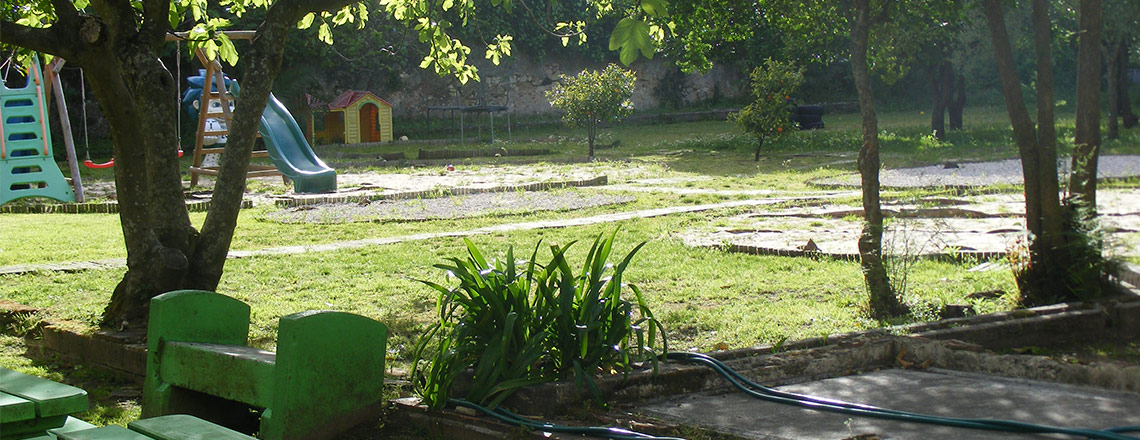 MDV - Movimento de Defesa da Vida