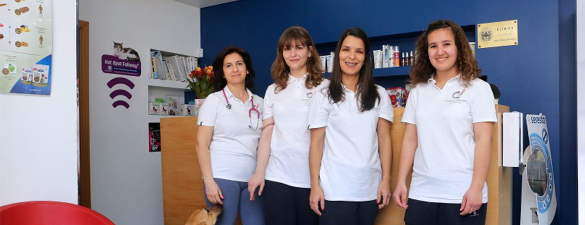 Patas e Penas - Clínica Veterinária