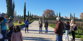 AMMEi - Palácio e Quinta da Bacalhôa