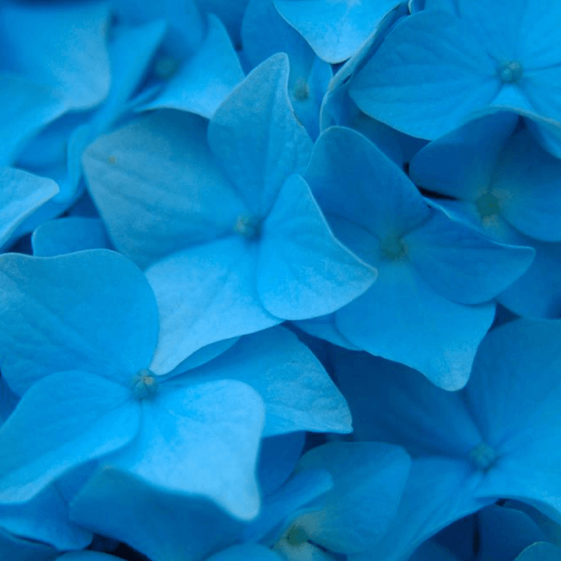 Centro Hospitalar de São Francisco