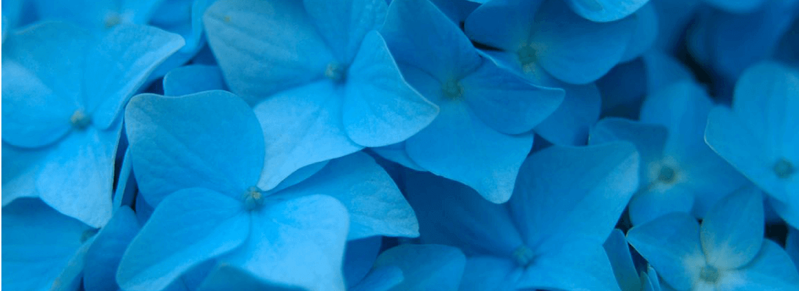 Centro Hospitalar de São Francisco