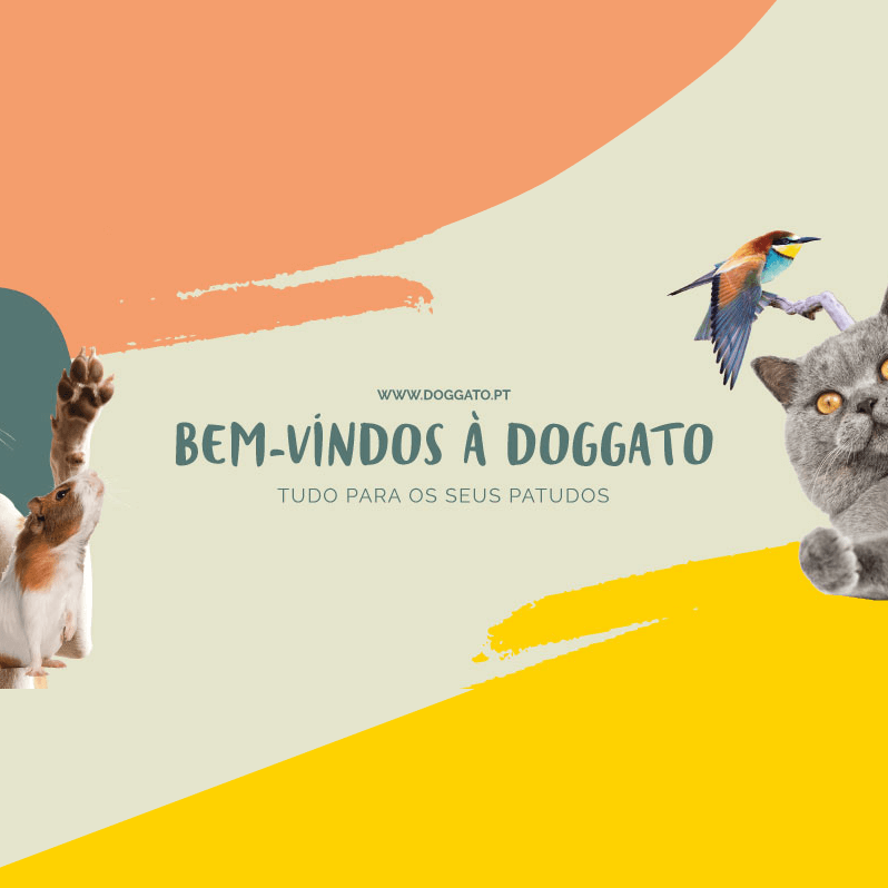 DOGGATO – Loja para animais de Estimação