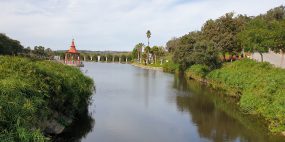 Bacalhôa Buddha Eden