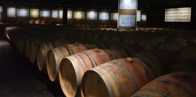 AMMEi - Palácio e Quinta da Bacalhôa