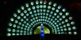 AMMEi - Magical Garden Belém