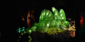 AMMEi - Magical Garden Belém