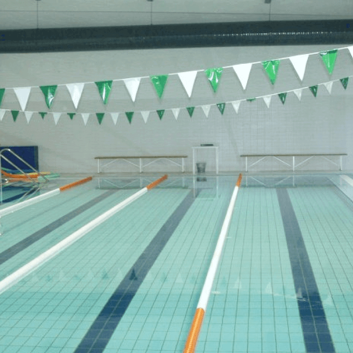 ANEA - Associação Nacional da Espondilite Anquilosante