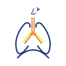 CARPA – Clínica de Alergologia, Respiração e Pneumologia