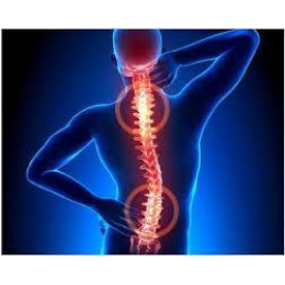 Rui Loural - Osteopata