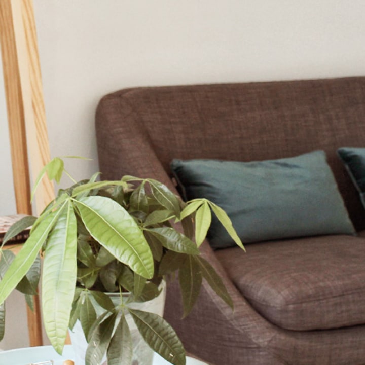 CliniD Clínica Dentária