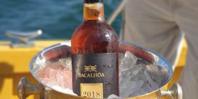 AMMEi passeio barco costa sesimbra