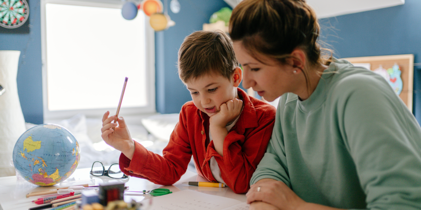 Ensino doméstico e ensino individual