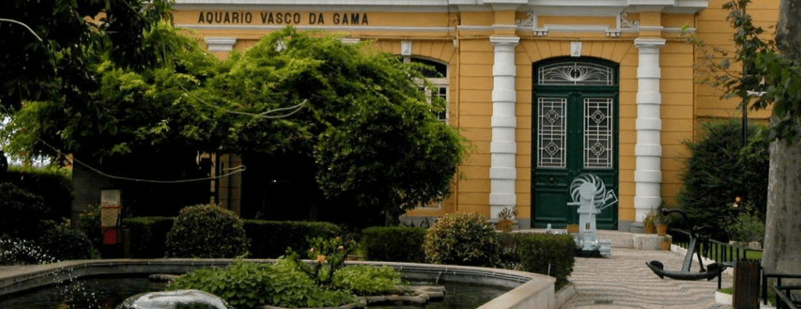 Aquário Vasco da Gama | Marinha Portuguesa