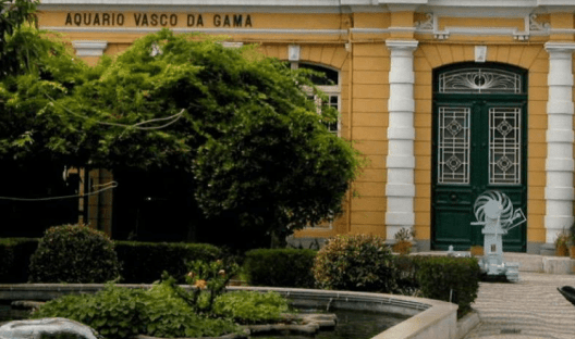 Aquário Vasco da Gama