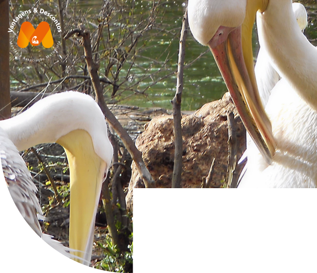 Um dia em família no Parque Zoológico de Lagos