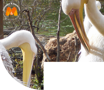 Um dia em família no Parque Zoológico de Lagos