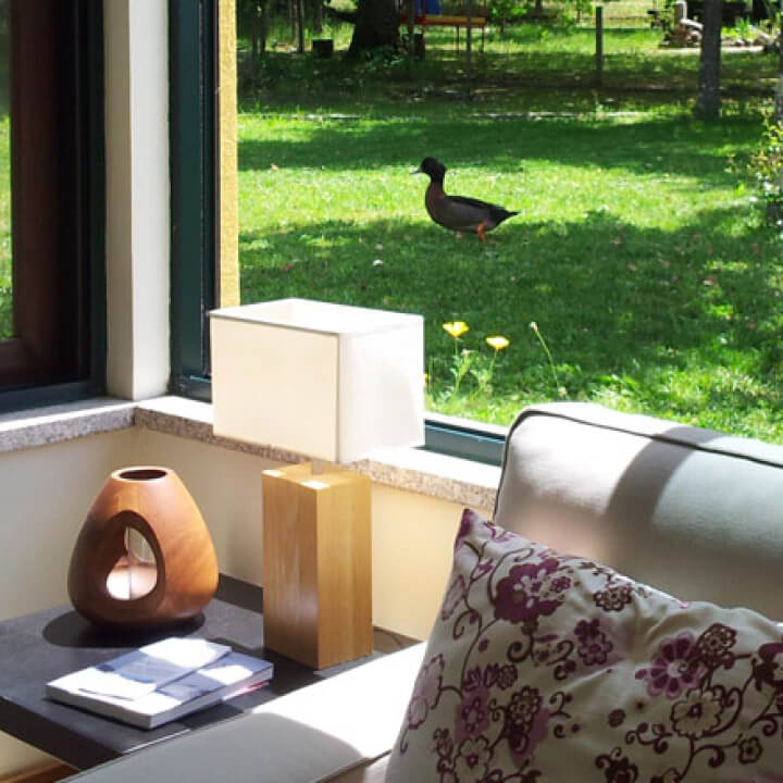 Casa das Palmeiras - Casas de Campo & Quinta Pedagógica