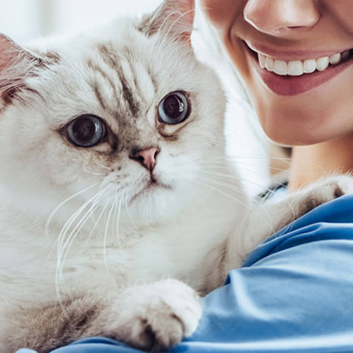 OneVet Group - Hospitais e Clínicas Veterinárias