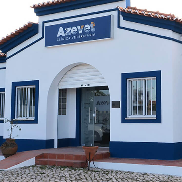 Azevet - Clínica Veterinária