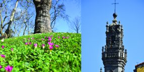 200 anos de camilo cordoaria