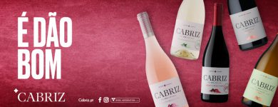 Banner com várias garrafas de vinho Cabriz e a frase "É Dão Bom"