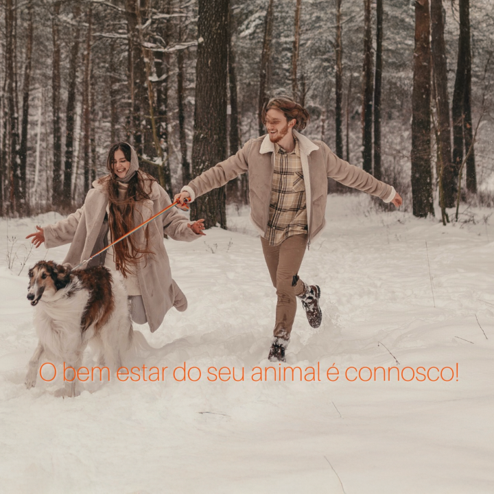 Hospital Veterinário Animalcare