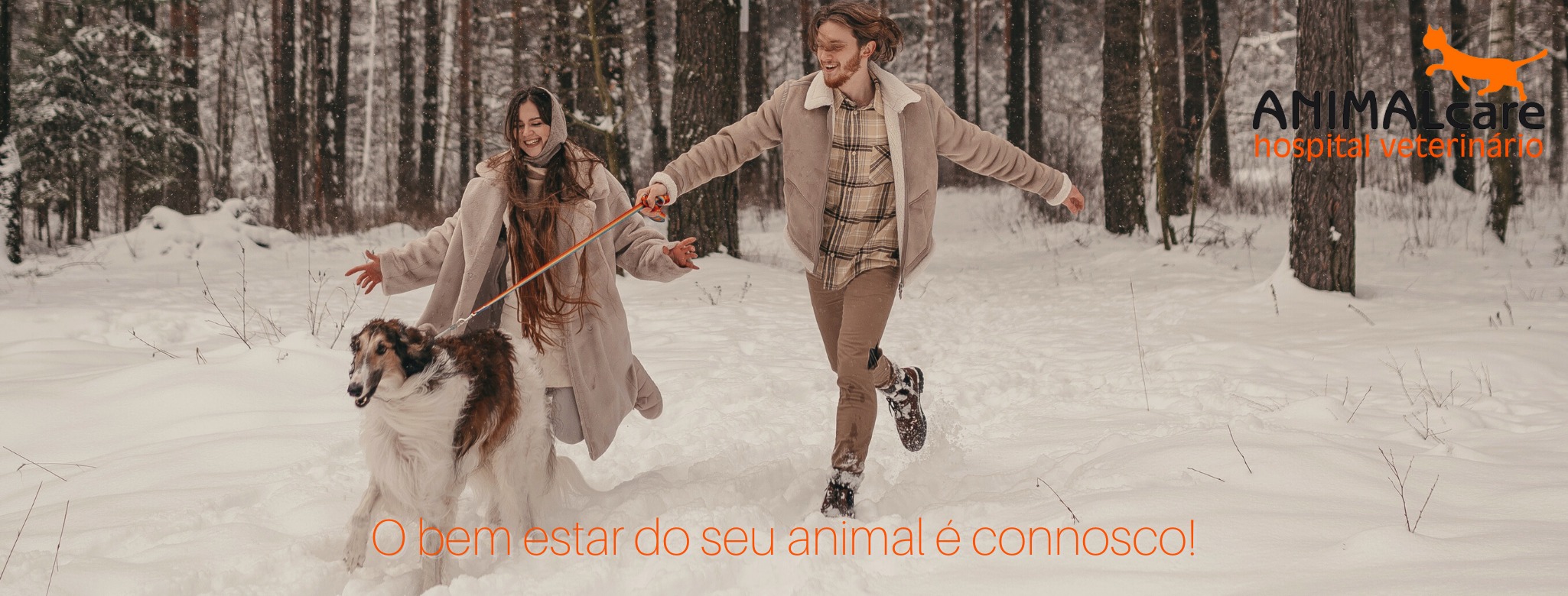 Hospital Veterinário Animalcare