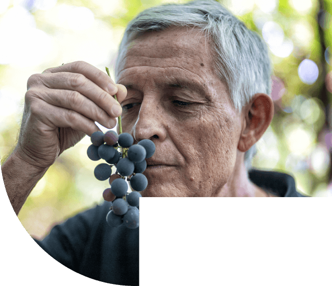 A minha vida começou aos 50