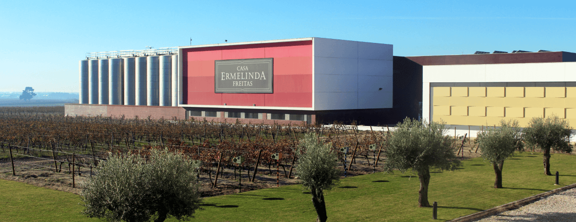 Visita guiada e Magusto na Casa Ermelinda Freitas