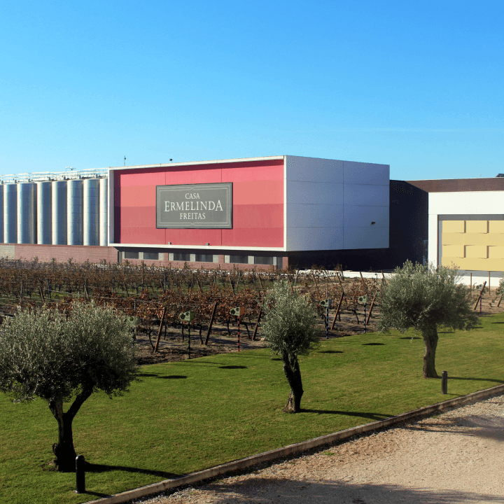 Visita e Magusto na Casa Ermelinda Freitas